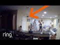 Brothers React to Bird Flying Around Their House | RingTV