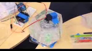 IMG 4292