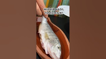 MIRMIR NASIL TEMİZLENİR? #shorts 🐟ÇİZGİLİ MERCAN AYIKLAMA 🐟BALIK AYIKLAMA TEKNİKLERİ