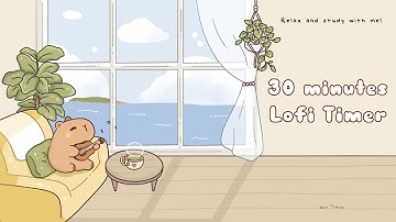 30 minutes - Relax & study with me Lofi | Tunes of Capy #timer  #30minutetimer #lofi #relaxing #calm