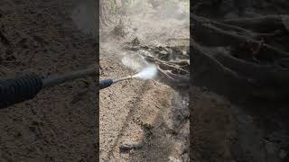 best way to remove tree stump not #stumpgrinding little #digging #stump #removal #homestead #work