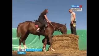 В Ленинградской области идёт строительство конно-драматического театра "Велесо"