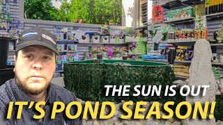 The sun is out, and pond season is calling – are you ready to answer? #PondSeason #AlfShowRoom #Pond