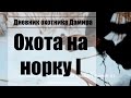 Охота на норку с помощью капкана (Способ 1)