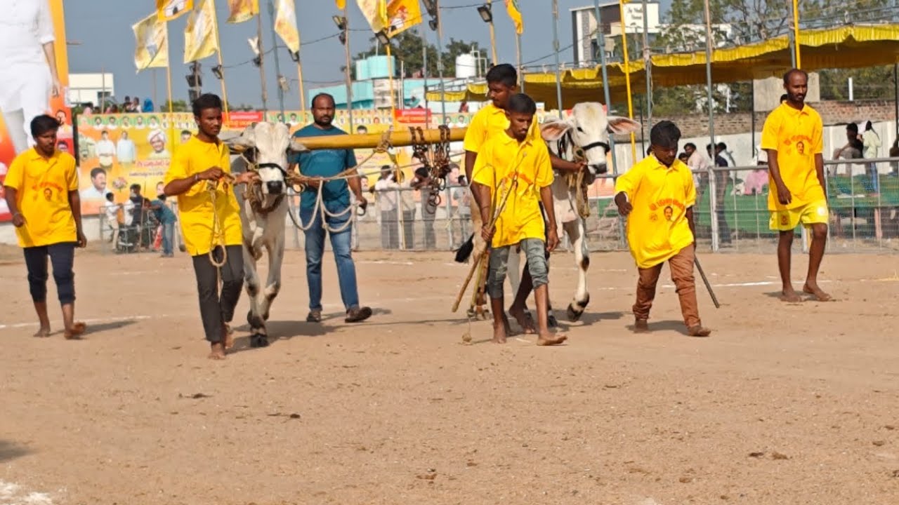 పల్నాడు జిల్లా చిలకలూరిపేట గ్రామం టచ్ పల్ల విభాగం 7వ జత