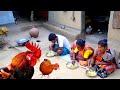 COUNTRY CHICKEN curry with rice eating | Cooking Deshi Morog by tribe family in this puja festival
