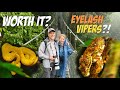 Mistico Hanging Bridges Tour MUST-KNOW TIPS | La Fortuna, Costa Rica