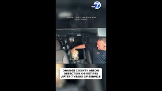 OC arson detection K-9 retires after 7 years of service