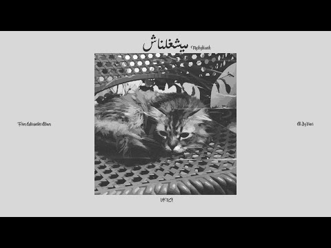   ڤينشي ميشغلناش