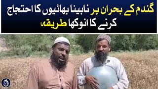 گندم بحران پر نابینا بھائیوں کا گا کر انوکھا احتجاج، ویڈیو وائرل