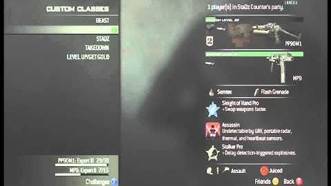 Mw3 PP90M1 Class Setup