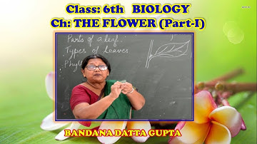 The Flower By BDG Ma