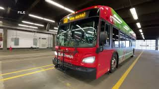 Audit finds ‘New Ways to Bus’ plan based on inaccurate data- CTV News- Demo Reel, Josefine Lukaszek
