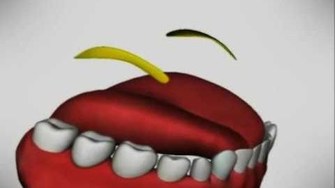 سورة الفاتحة   الجزء ٢