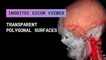 Transparent polygonal surfaces