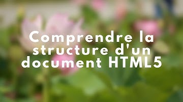 2 - Comprendre la structure d