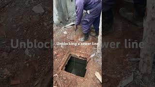 Sewer line construction