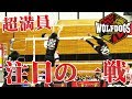 2019-20ウルフドッグス名古屋試合ダイジェスト vs ジェイテクトSTINGS
