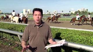 ABR Racing 101: The Post Parade