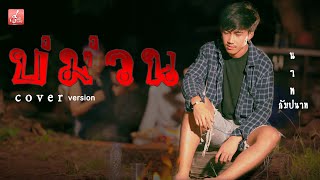 บ่ม่วน - นาท กัมปนาท【Cover Version】4K Original : กู่แคน