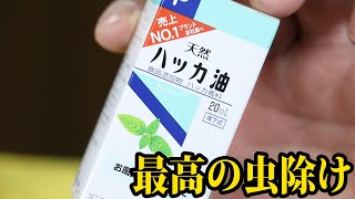 ハッカ油で作る最高に涼しい虫除けスプレーの作り方