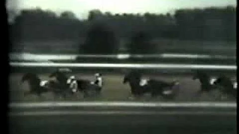 Hambletonian 1959 -Diller Hanover