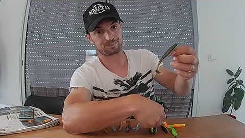 Les secrets de montages de Piglet shad