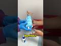 Why Vets Wrap Cats Like Burritos