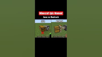 Minecraft Java vs Bedrock Part 2 #minecraft #moments #trending