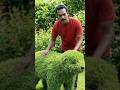 AI ​கம்பியிலிருந்து உருவான நிஜ ஹனி பேட்ஜர்! 🦡✨ Amazing Honey Badger Making Video #ai #shorts #viral