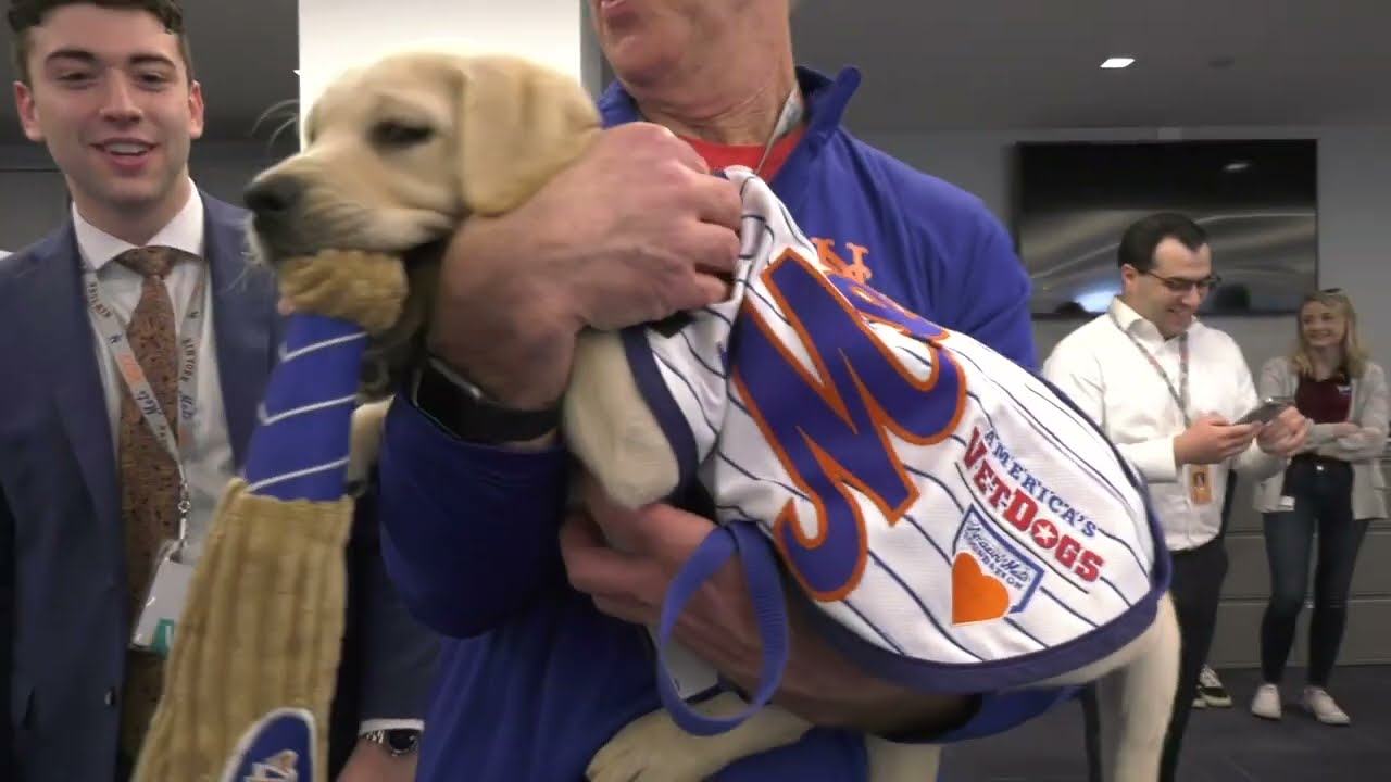 Islanders fans votes are in, the third New York Islanders' Puppy