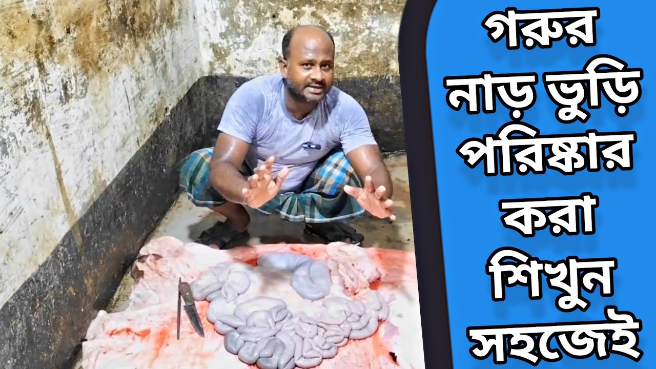গরুর নাড় ভুড়ি পরিষ্কার করা শিখুন খুব সহজেই - মাস্টার এরশাদ কসাই #goru