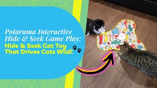 Potaroma Interactive Cat Feather Toy Review 🐾 The Ultimate Hide &amp; Seek Playtime!