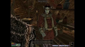 Day 116 - Killing Every NPC Until Elder Scrolls 6 is Released