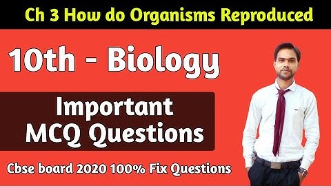 Cbse Board 2020 Science mcq | Class 10th Biology mcq | cbse class 10 science mcq | Biology Class 10