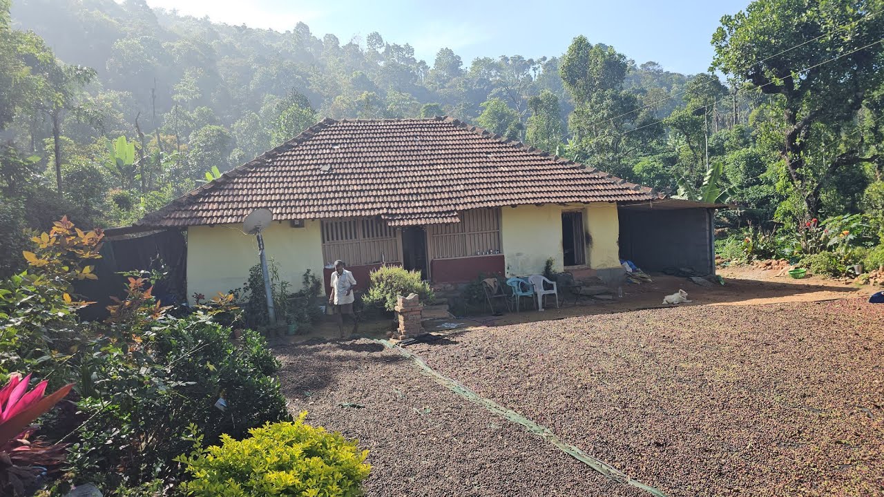 (#177)  20 acre superb condition top location coffee estate. sakleshpura to22 km destance🌍🌍