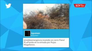 Incendio forestal en el Bosque Panul de La Florida moviliza a Bomberos