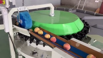 🍑 Peach Perfection, Automated!