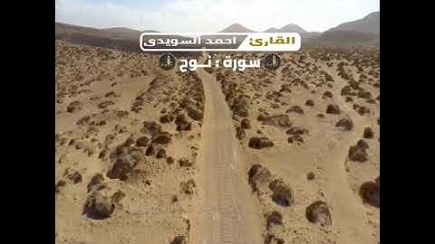 تلاوة مؤثرة للقارئ أحمد السويدي حديث السوشيال ميديا - تلاوة مؤثرة لسورة نوح