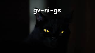 abc Cherokee colors are everywhere song 2019