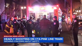 Man killed in double shooting on downtown CTA train ID'd: officials