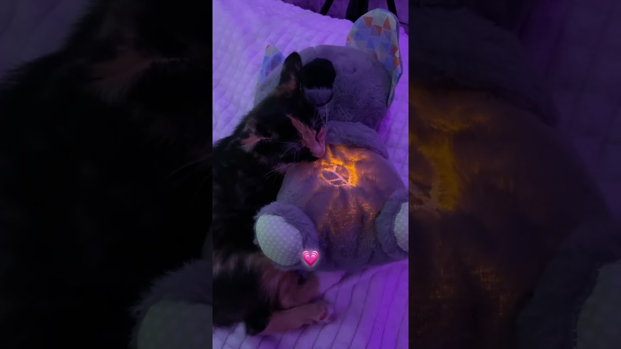 Артикул на WB🐨- 215440194 