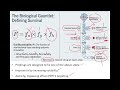 Oral and Transporter Targeted Prodrugs