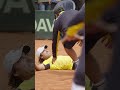 A feeling like no other 😍 A moment Ecuador will never forget 🇪🇨 #DavisCup