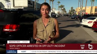 Famous SDPD Officer Arrested Profile