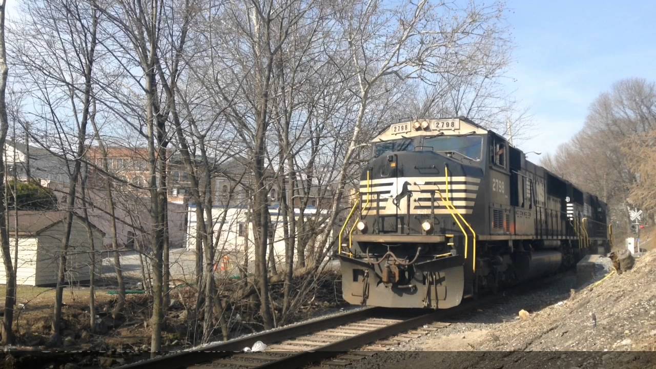 Horn Show Compilation 4