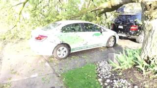 Vehicles Smashed by tree on driveway in Newmarket