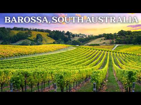 Barossa vs. McLaren Vale: Which Australian Wine Region Wins?