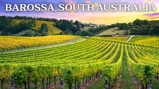 Barossa vs. McLaren Vale: Which Australian Wine Region Wins?
