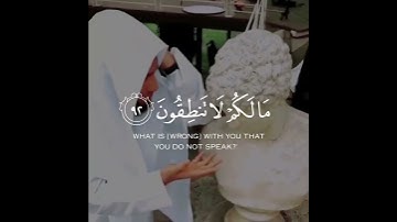 حالات واتس قرآن | ما لكم لا تنطقون للشيخ مشاري العفاسي | من سورة الصافات